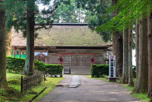 中尊寺 白山神社能楽堂
(c)YOSHITSUGU NISHIGAKI/SEBUN PHOTO