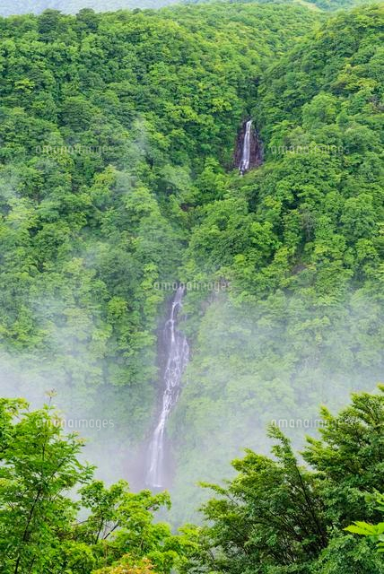 三階の滝 蔵王
(c)YOSHITSUGU NISHIGAKI/SEBUN PHOTO