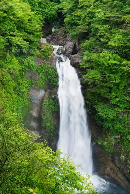 秋保大滝
(c)YOSHITSUGU NISHIGAKI/SEBUN PHOTO