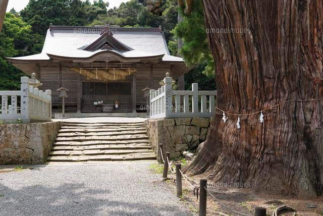 玉若酢命神社 隠岐
(c)YOSHITSUGU NISHIGAKI/SEBUN PHOTO