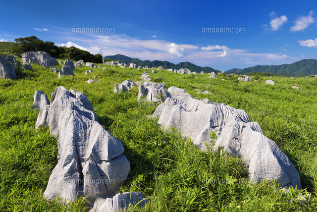秋吉台
(c)YOSHITSUGU NISHIGAKI/SEBUN PHOTO
