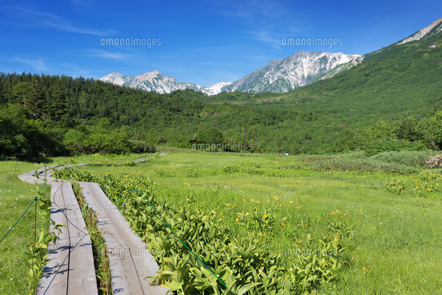 栂池自然園と白馬三山
(c)YOSHITSUGU NISHIGAKI/SEBUN PHOTO