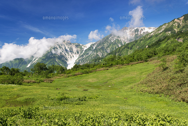 栂池自然園と白馬三山
(c)YOSHITSUGU NISHIGAKI/SEBUN PHOTO