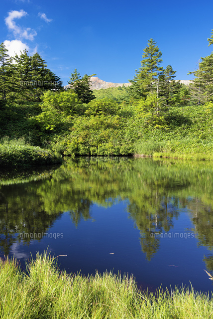 芳ヶ平と白根山
(c)YOSHITSUGU NISHIGAKI/SEBUN PHOTO