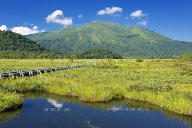 尾瀬ヶ原と至仏山
(c)YOSHITSUGU NISHIGAKI/SEBUN PHOTO