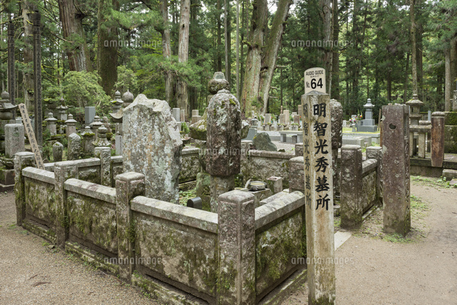 高野山奥の院.明智光秀墓所
(c)YOSHITSUGU NISHIGAKI/SEBUN PHOTO