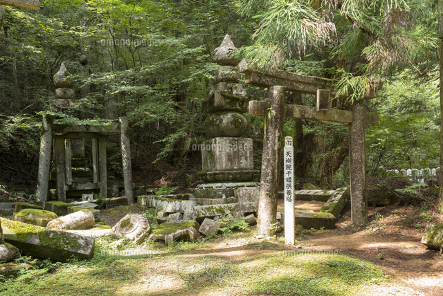 高野山奥の院.天樹院千姫供養塔
(c)YOSHITSUGU NISHIGAKI/SEBUN PHOTO