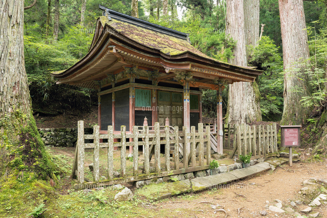 高野山奥の院.上杉謙信廟所
(c)YOSHITSUGU NISHIGAKI/SEBUN PHOTO