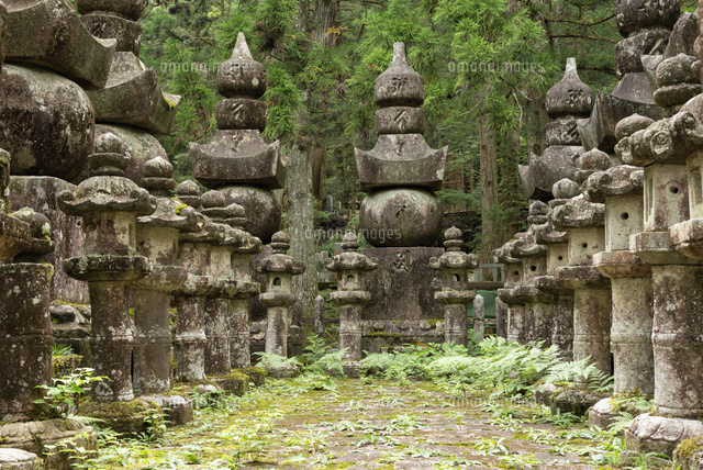高野山奥の院.山口毛利家墓所
(c)YOSHITSUGU NISHIGAKI/SEBUN PHOTO
