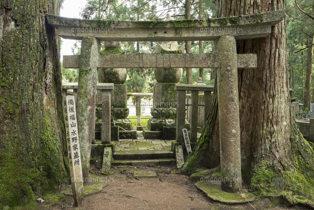 高野山奥の院.備後福山水野家墓所
(c)YOSHITSUGU NISHIGAKI/SEBUN PHOTO