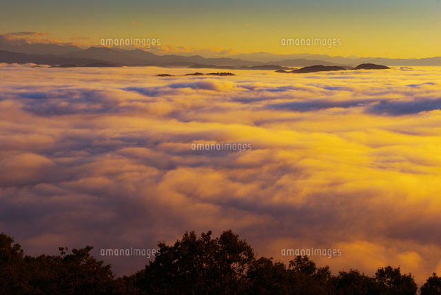 朝の高谷山よりの雲海
(c)YOSHITSUGU NISHIGAKI/SEBUN PHOTO