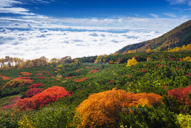 乗鞍岳の紅葉
(c)YOSHITSUGU NISHIGAKI/SEBUN PHOTO