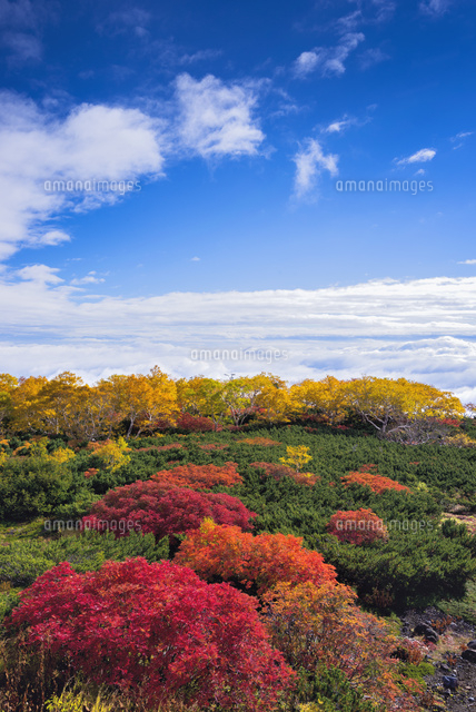 乗鞍岳の紅葉
(c)YOSHITSUGU NISHIGAKI/SEBUN PHOTO