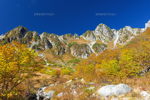 紅葉の千畳敷と宝剣岳
(c)YOSHITSUGU NISHIGAKI/SEBUN PHOTO