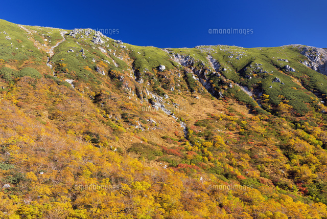 紅葉の千畳敷
(c)YOSHITSUGU NISHIGAKI/SEBUN PHOTO