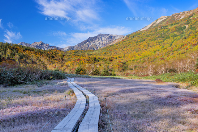 紅葉の栂池自然園より白馬三山
(c)YOSHITSUGU NISHIGAKI/SEBUN PHOTO