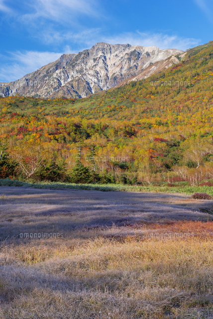紅葉の栂池自然園より白馬岳
(c)YOSHITSUGU NISHIGAKI/SEBUN PHOTO