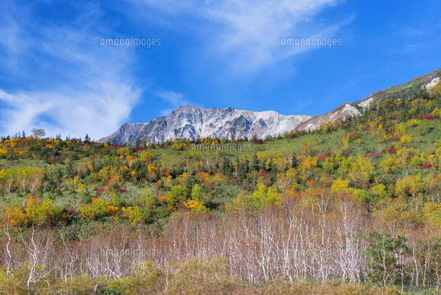 紅葉の栂池自然園より白馬岳
(c)YOSHITSUGU NISHIGAKI/SEBUN PHOTO
