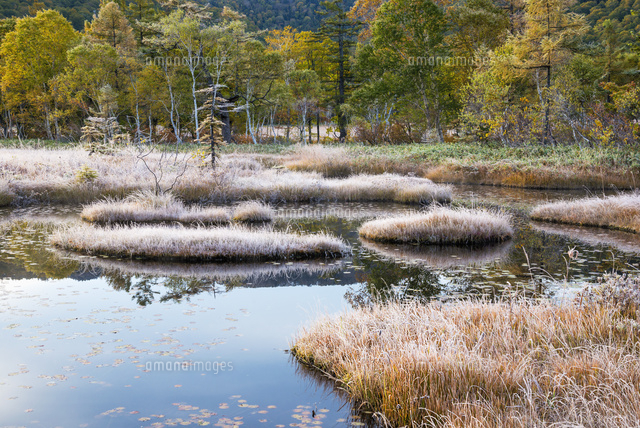 朝の尾瀬ヶ原と紅葉
(c)YOSHITSUGU NISHIGAKI/SEBUN PHOTO
