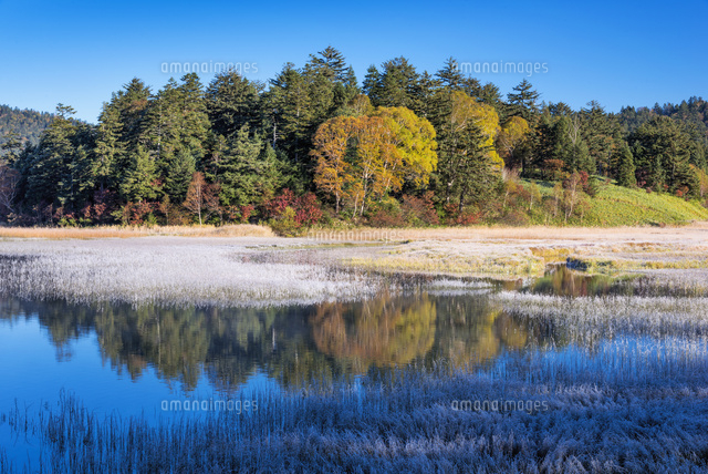 紅葉の尾瀬沼と大江川湿原
(c)YOSHITSUGU NISHIGAKI/SEBUN PHOTO