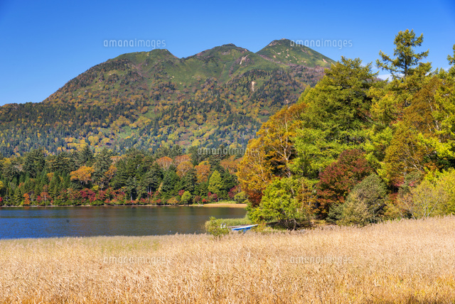 紅葉の尾瀬沼と燧岳
(c)YOSHITSUGU NISHIGAKI/SEBUN PHOTO