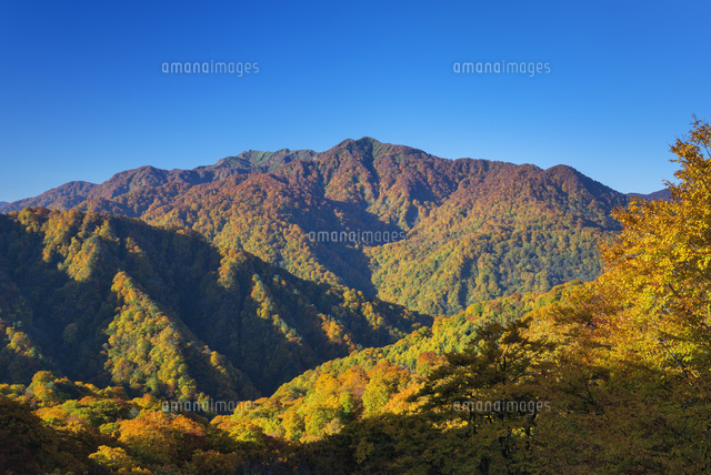 秋の向白神山と双耳峰
(c)YOSHITSUGU NISHIGAKI/SEBUN PHOTO