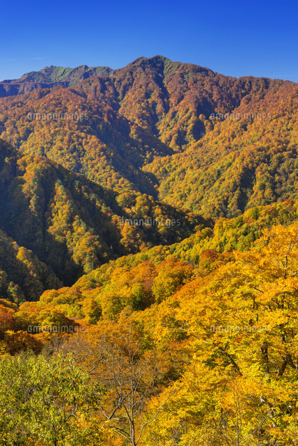 秋の向白神山と双耳峰
(c)YOSHITSUGU NISHIGAKI/SEBUN PHOTO