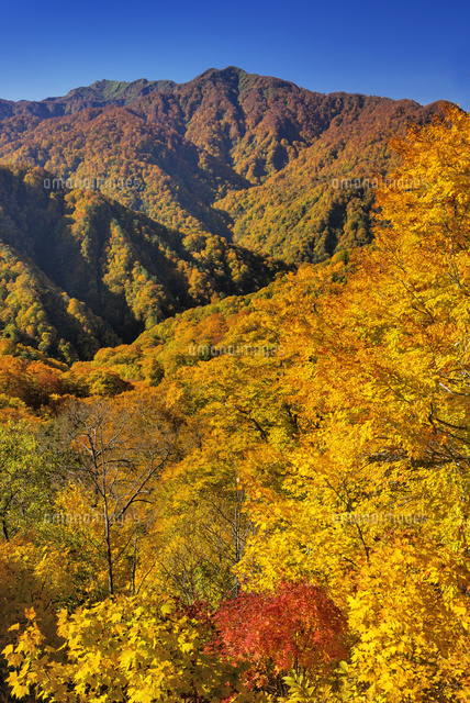 秋の向白神山と双耳峰
(c)YOSHITSUGU NISHIGAKI/SEBUN PHOTO