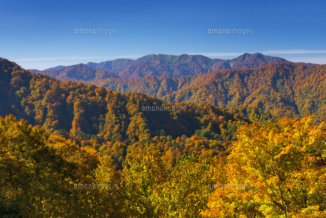 秋の津軽峠より白神山
(c)YOSHITSUGU NISHIGAKI/SEBUN PHOTO