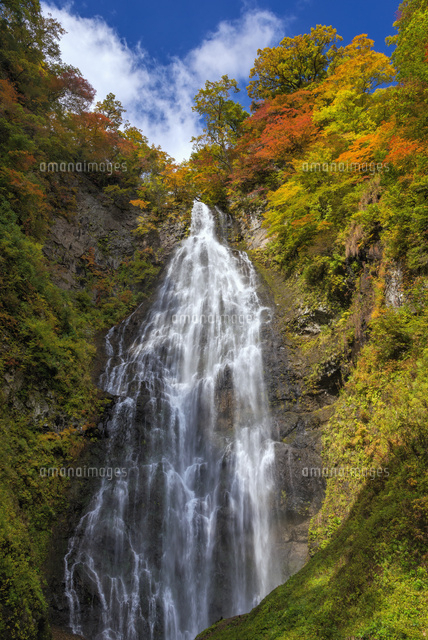 秋のくろくまの滝
(c)YOSHITSUGU NISHIGAKI/SEBUN PHOTO