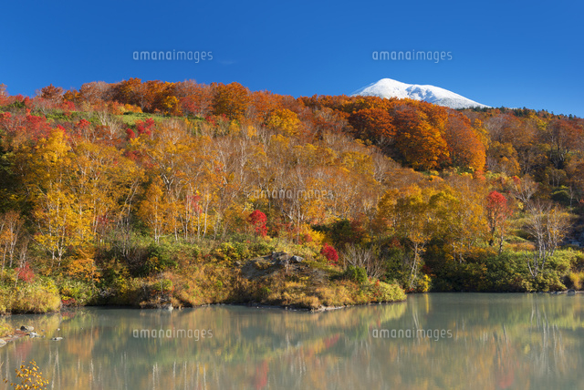 紅葉と八甲田山
(c)YOSHITSUGU NISHIGAKI/SEBUN PHOTO