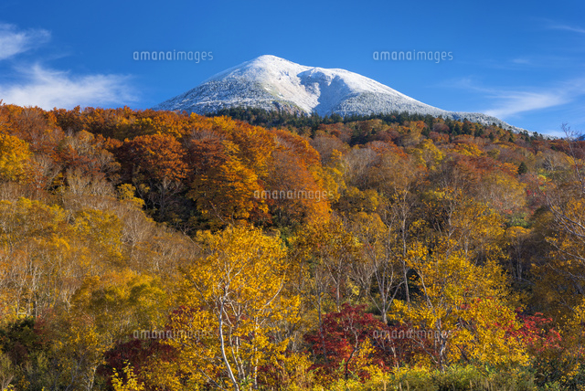 紅葉と八甲田山
(c)YOSHITSUGU NISHIGAKI/SEBUN PHOTO