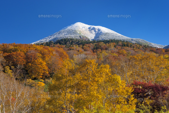 紅葉と八甲田山
(c)YOSHITSUGU NISHIGAKI/SEBUN PHOTO