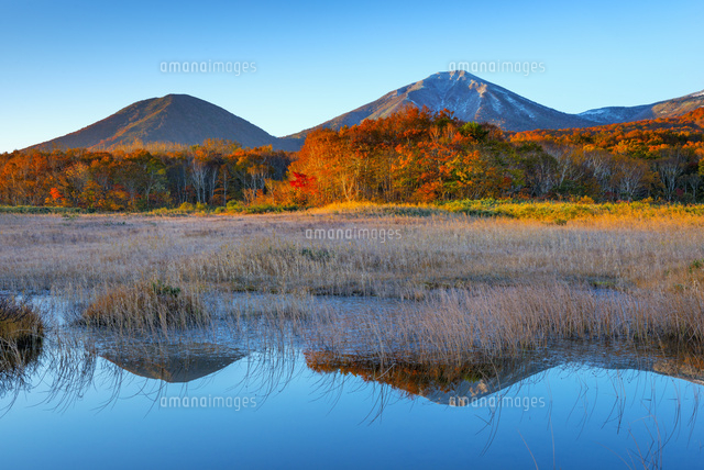 朝の田代平と八甲田山
(c)YOSHITSUGU NISHIGAKI/SEBUN PHOTO