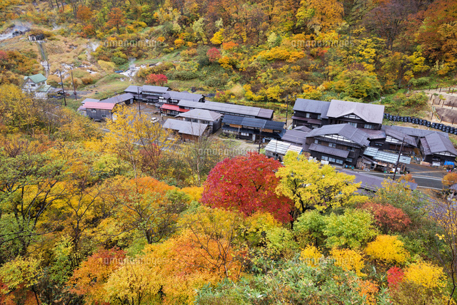 秋の泥湯温泉
(c)YOSHITSUGU NISHIGAKI/SEBUN PHOTO