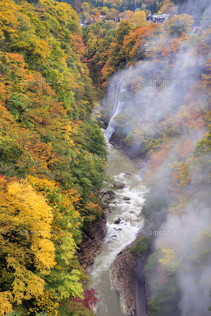 紅葉の小安峡
(c)YOSHITSUGU NISHIGAKI/SEBUN PHOTO