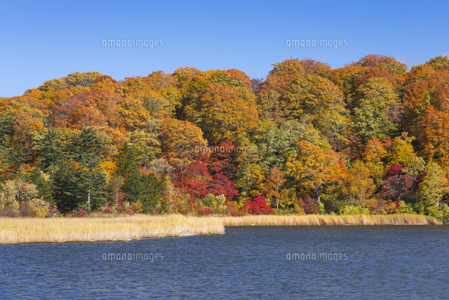 紅葉の八幡平と大沼
(c)YOSHITSUGU NISHIGAKI/SEBUN PHOTO