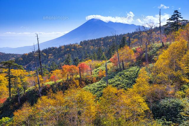 紅葉の八幡平と岩手山
(c)YOSHITSUGU NISHIGAKI/SEBUN PHOTO