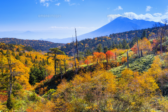 紅葉の八幡平と岩手山
(c)YOSHITSUGU NISHIGAKI/SEBUN PHOTO