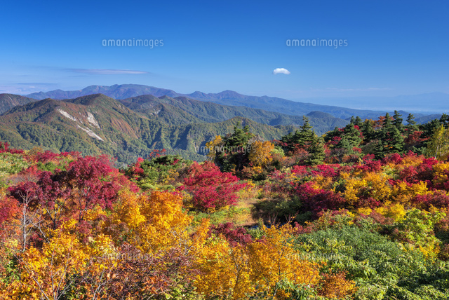 紅葉と栗駒山
(c)YOSHITSUGU NISHIGAKI/SEBUN PHOTO