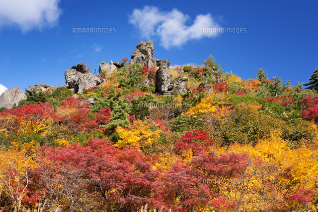 紅葉と栗駒山
(c)YOSHITSUGU NISHIGAKI/SEBUN PHOTO