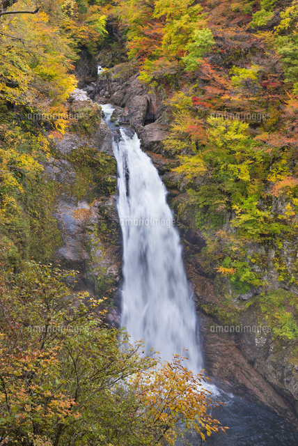 紅葉と秋保大滝
(c)YOSHITSUGU NISHIGAKI/SEBUN PHOTO
