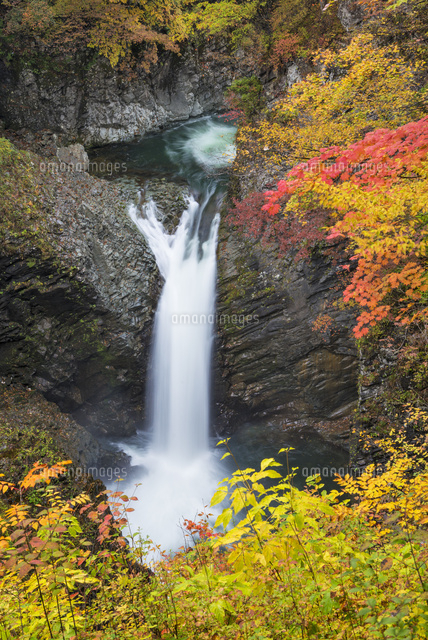 紅葉と鹿鳴四十八滝
(c)YOSHITSUGU NISHIGAKI/SEBUN PHOTO