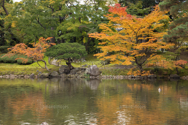 紅葉と御薬園
(c)YOSHITSUGU NISHIGAKI/SEBUN PHOTO