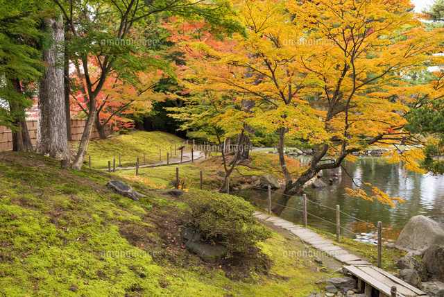 紅葉と御薬園
(c)YOSHITSUGU NISHIGAKI/SEBUN PHOTO