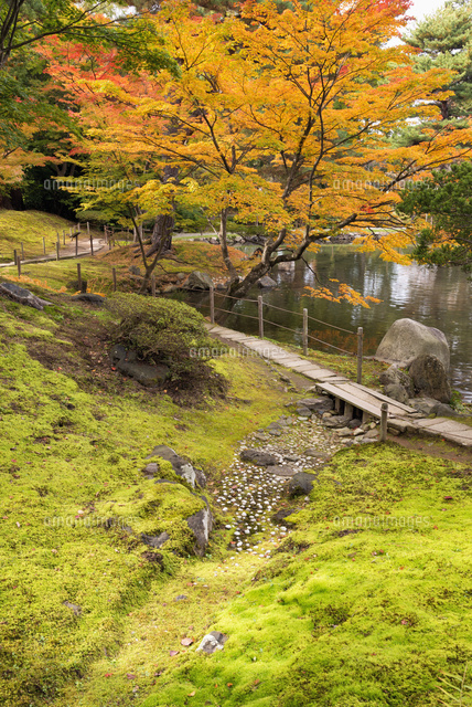 紅葉と御薬園
(c)YOSHITSUGU NISHIGAKI/SEBUN PHOTO