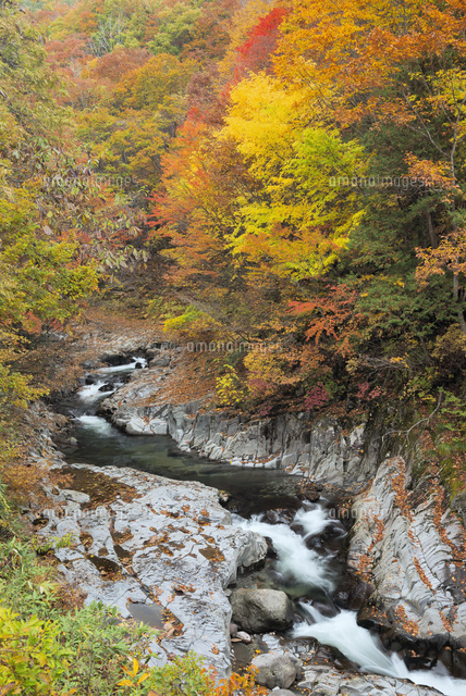 紅葉の中津川渓谷
(c)YOSHITSUGU NISHIGAKI/SEBUN PHOTO