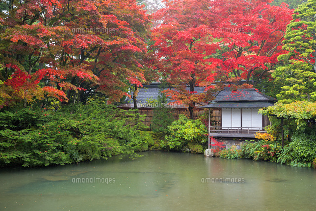 紅葉の逍遥園
(c)YOSHITSUGU NISHIGAKI/SEBUN PHOTO