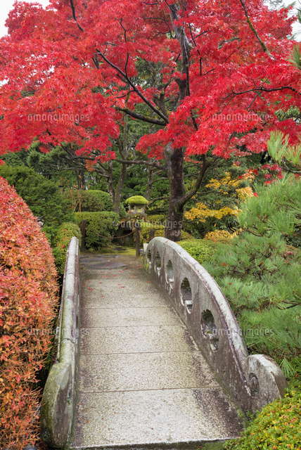 紅葉の逍遥園
(c)YOSHITSUGU NISHIGAKI/SEBUN PHOTO