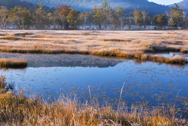 朝の尾瀬ヶ原
(c)YOSHITSUGU NISHIGAKI/SEBUN PHOTO